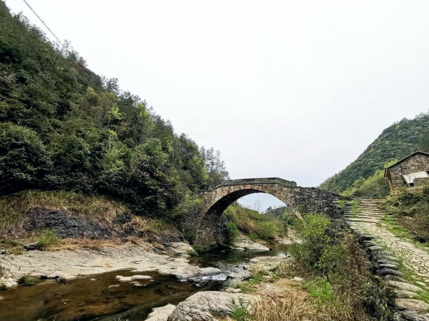 雪岗村最新新闻