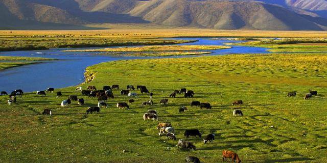 清河牧场最新项目