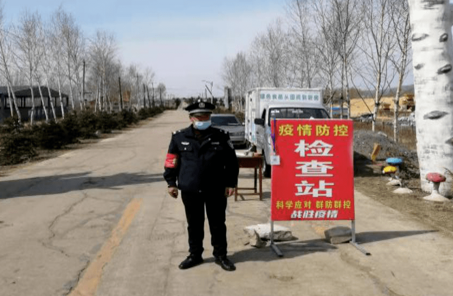 桦树村委会最新发展规划