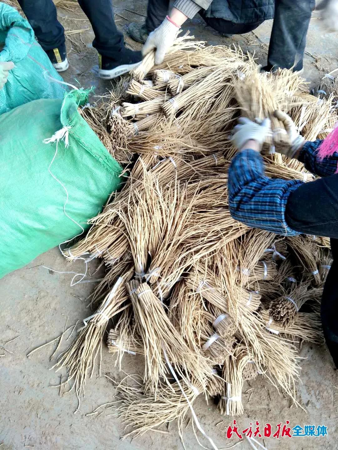 关山乡最新领导