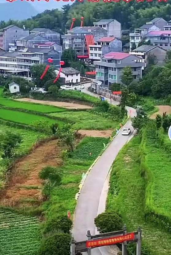 婷洁 第4页