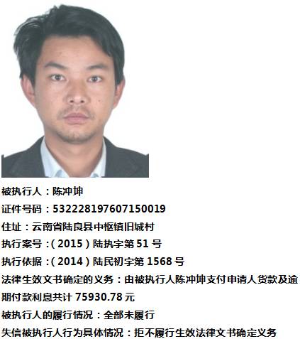 陆良老赖最新动态,深度探究背后的启示