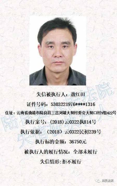 陆良老赖最新动态,深度探究背后的启示