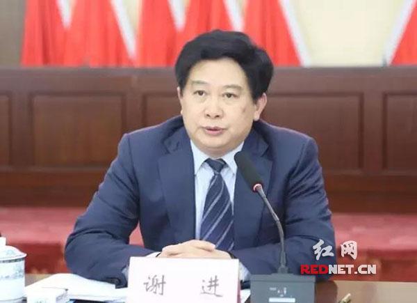 谢进最新动态,揭开成功的神秘面纱。