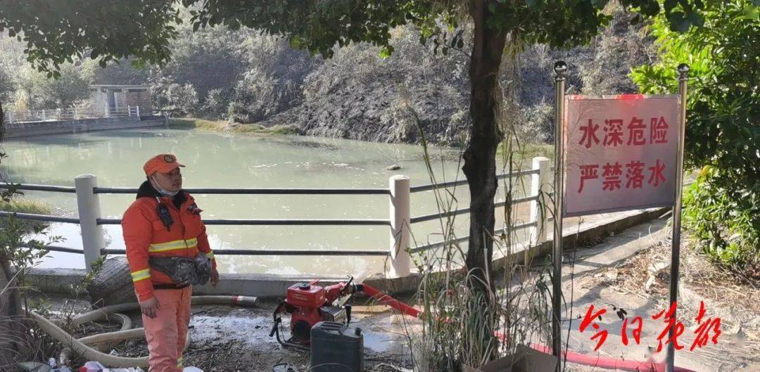 狮岭最新动态,城市崭新面貌与发展轨迹揭秘