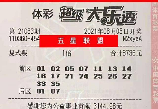 新澳2025年天天开好彩大乐透, 构建解答、专家解读解释与落实与警惕虚假宣传-全面释义、专家解读解释与落实