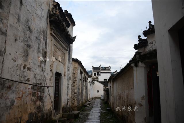 官升一级,最新趋势与挑战概览