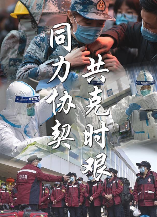 全球视角下的新冠型肺炎最新动态与应对策略进展