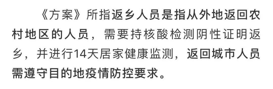 城市发展与未来趋势深度解析,最新返城消息揭秘