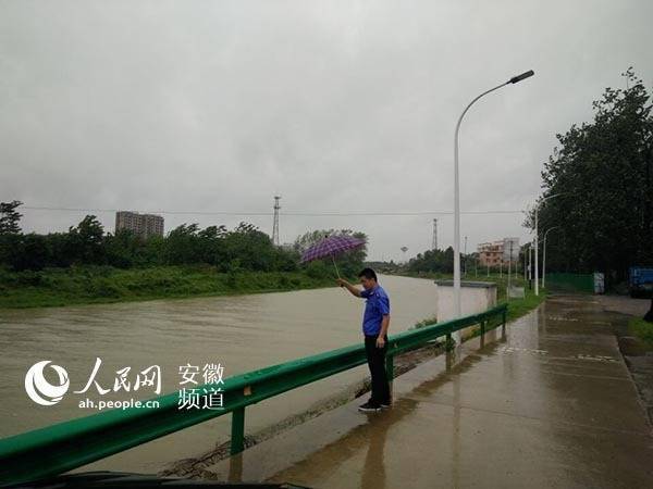 印兆 第3页