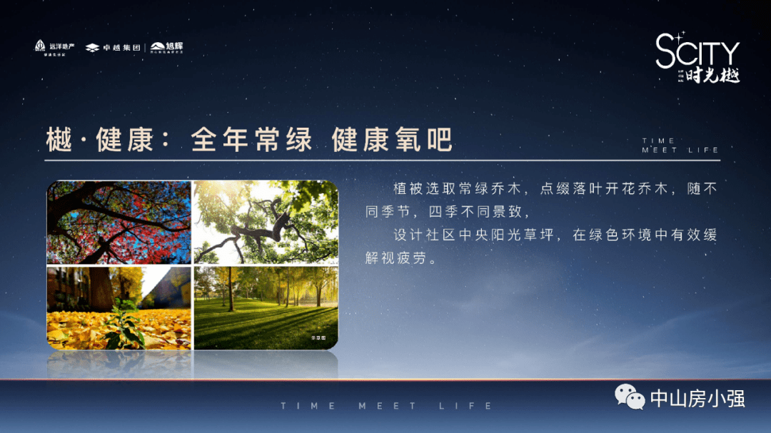润涛阎,探索未知领域,最新文章揭秘