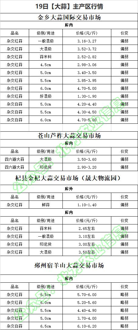 苍山大蒜最新价格动态播报