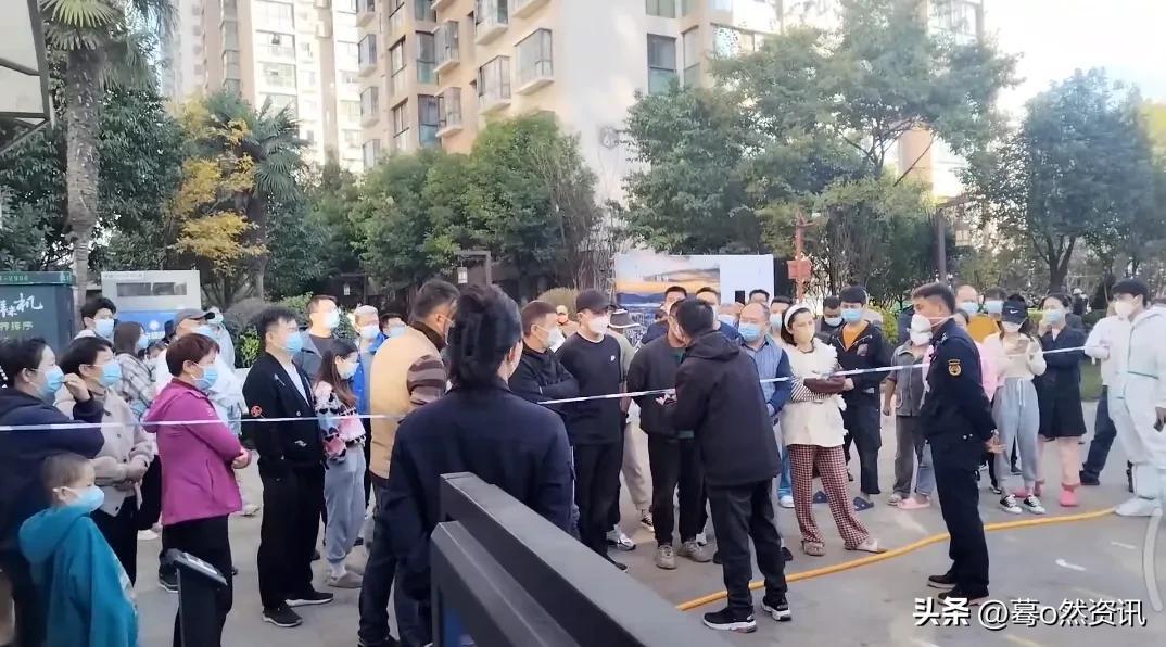 孙子凡 第3页