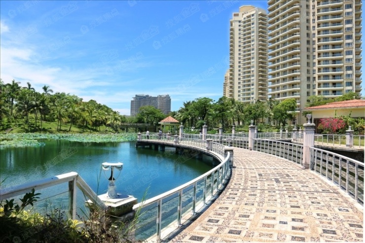 琼海市最新房价概况与市场趋势深度解析