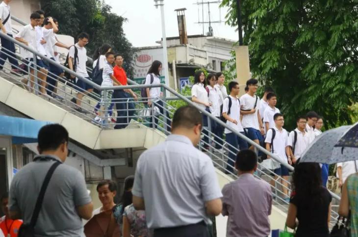 河北省最新通知解读与探讨