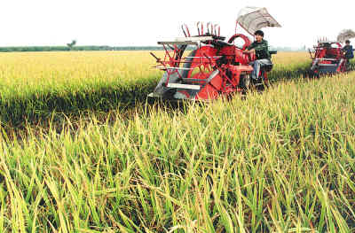 全球粮价上涨趋势,影响、原因与应对策略分析