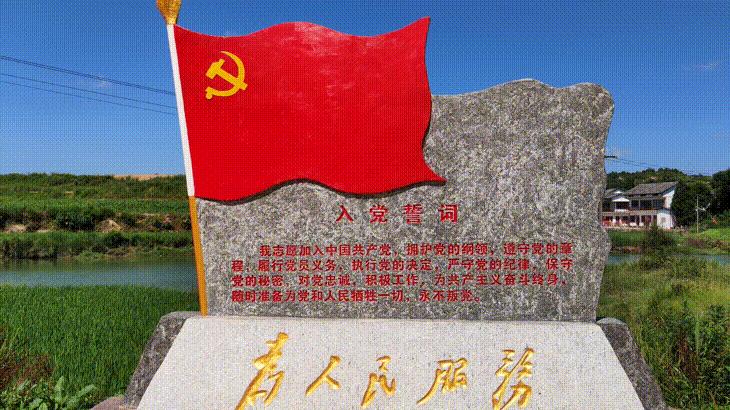 杨武最新动态,揭示未来无限潜能