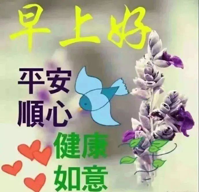 早上好!温馨问候图片,迎接美好的一天开始