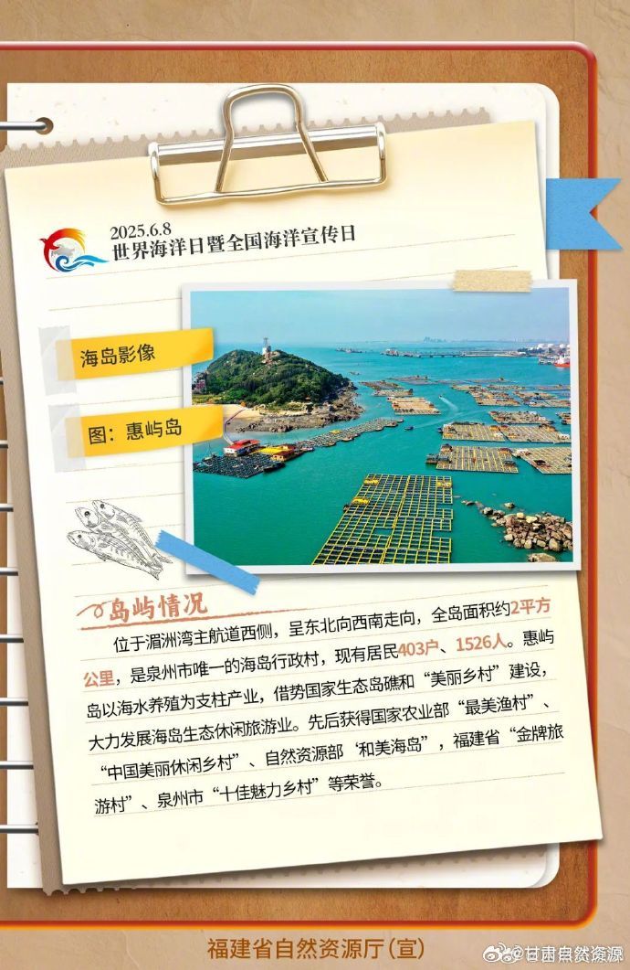 罗屿岛新面貌与发展蓝图揭秘,最新消息一览
