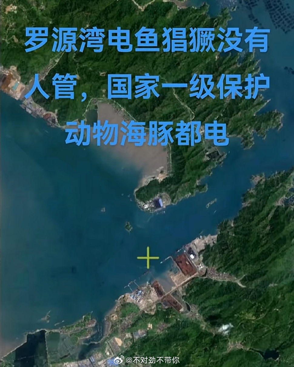 罗屿岛新面貌与发展蓝图揭秘,最新消息一览