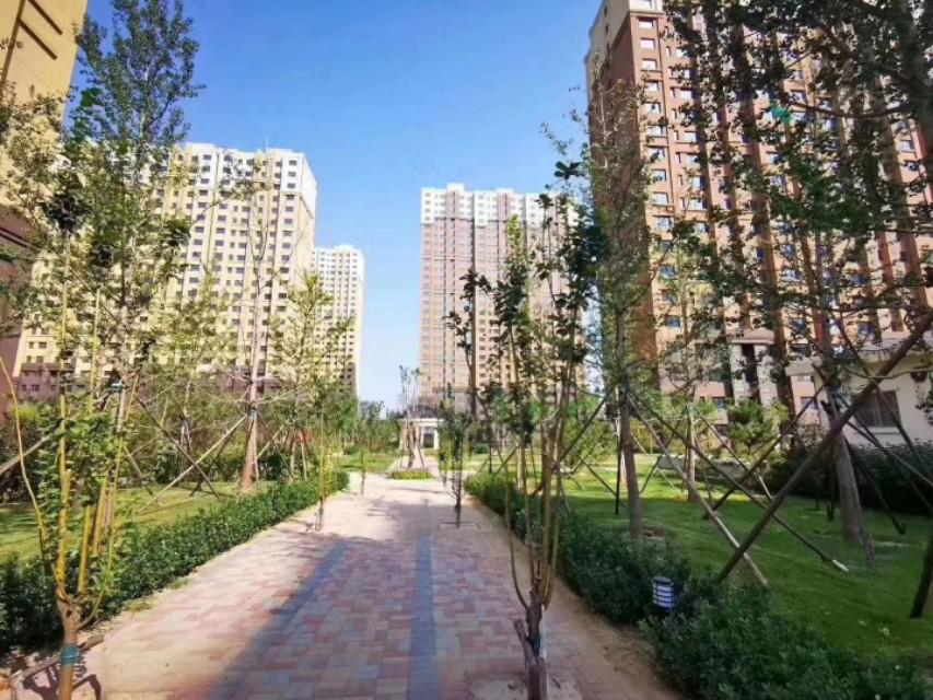 北京老旧小区垂直交通升级,最新电梯加装政策出炉