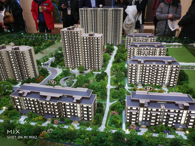 西城天铸最新动态深度解析