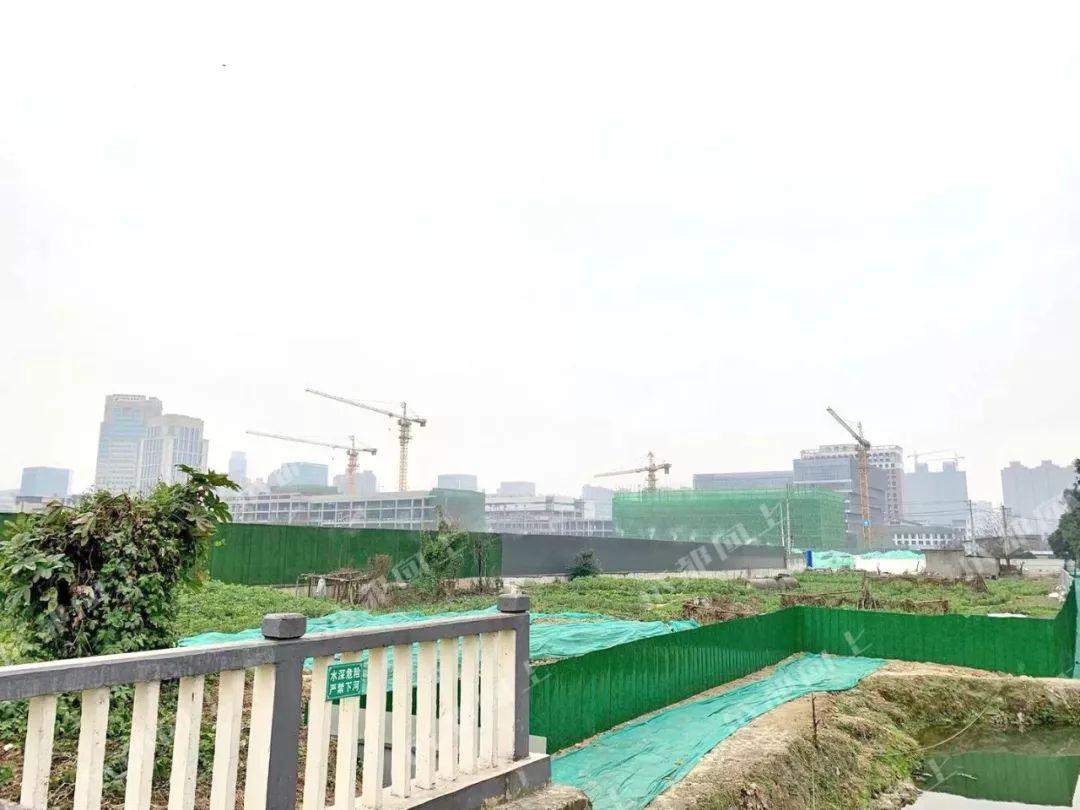 成都工地人最新动态,繁忙建设背后的故事揭秘