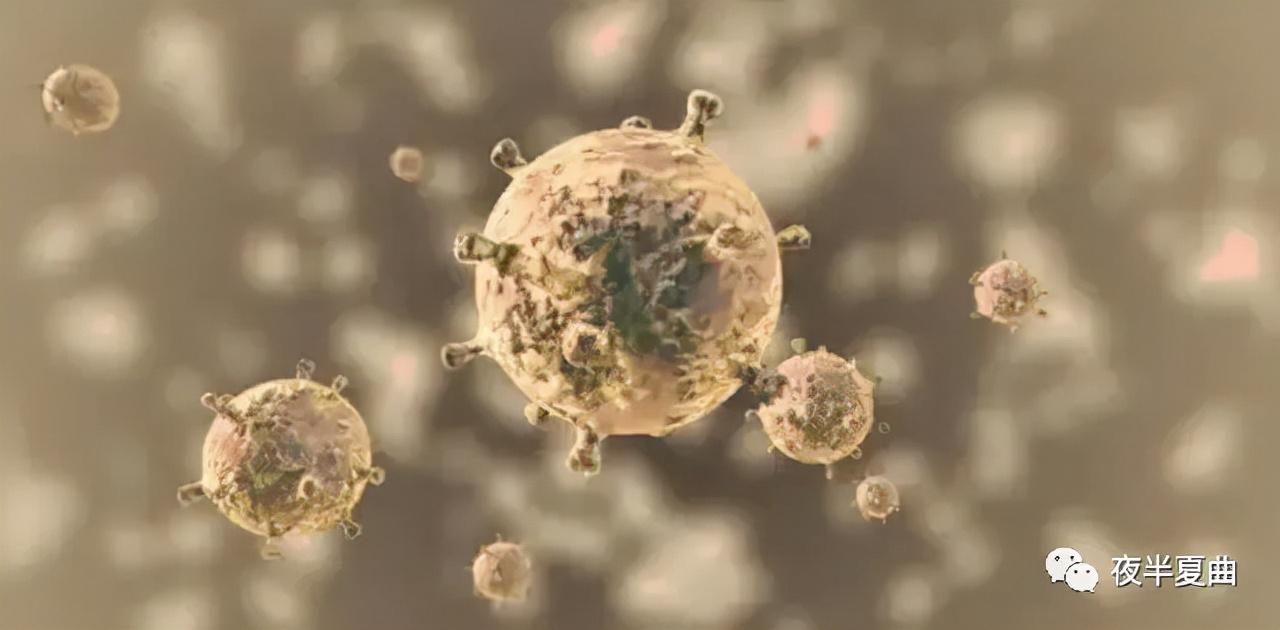 全球新冠病毒最新动态,抗击疫情的进展与挑战综述