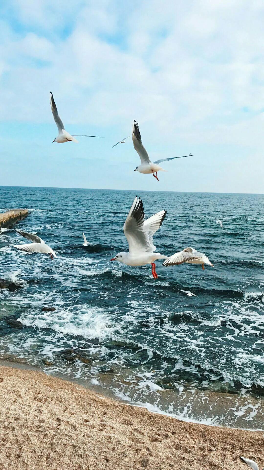 苹果iPhone 10最新官方消息全面解读