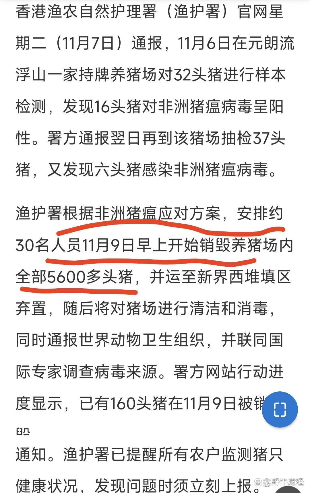 表驰海 第3页