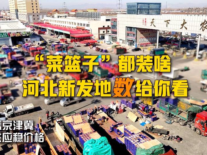 新发地最新进展,持续更新与未来展望概览