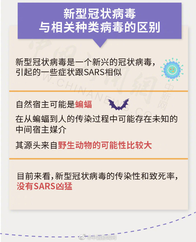 新兴冠状病毒肺炎,全球共同应对的挑战