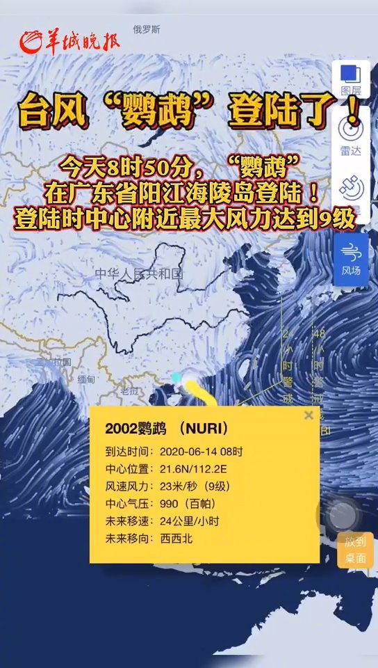 台风网鹦鹉最新动态全面解析