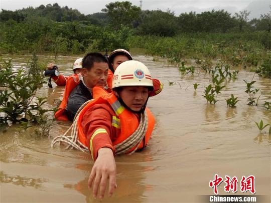 湖北咸宁洪水最新动态,众志成城,共克时艰