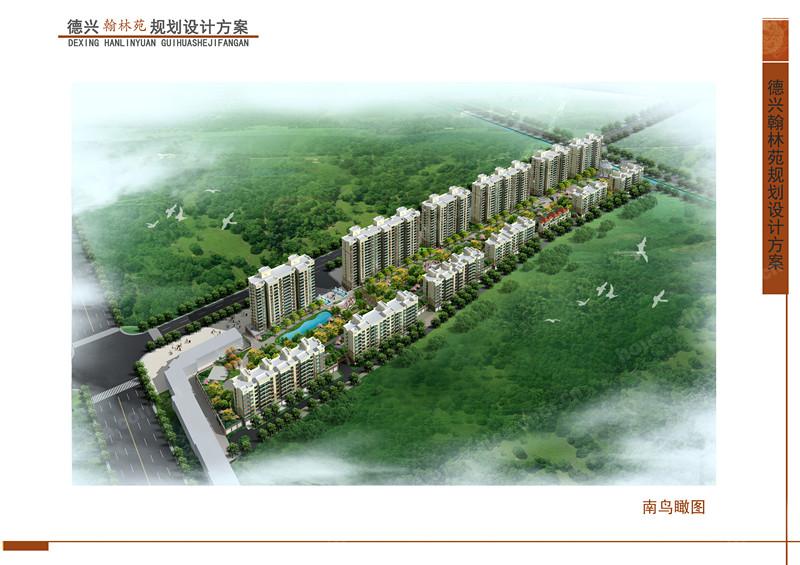 德兴北尚最新消息全面解读与分析
