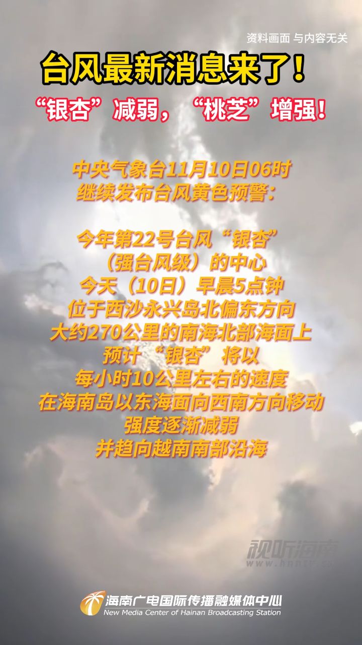 台风最新动态,影响及应对策略全解析