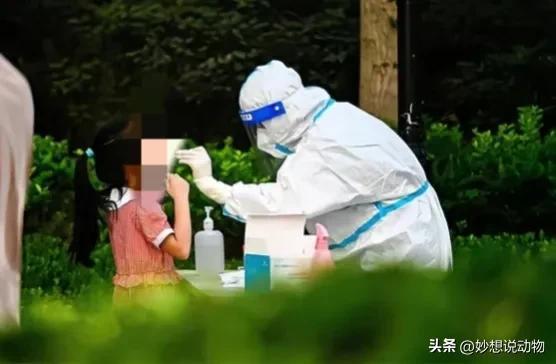 甘肃7月12日疫情最新动态及防控应对聚焦