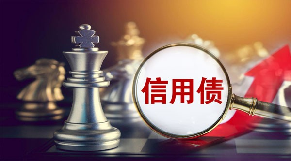 信用债违约最新动态,市场反应及应对策略揭秘