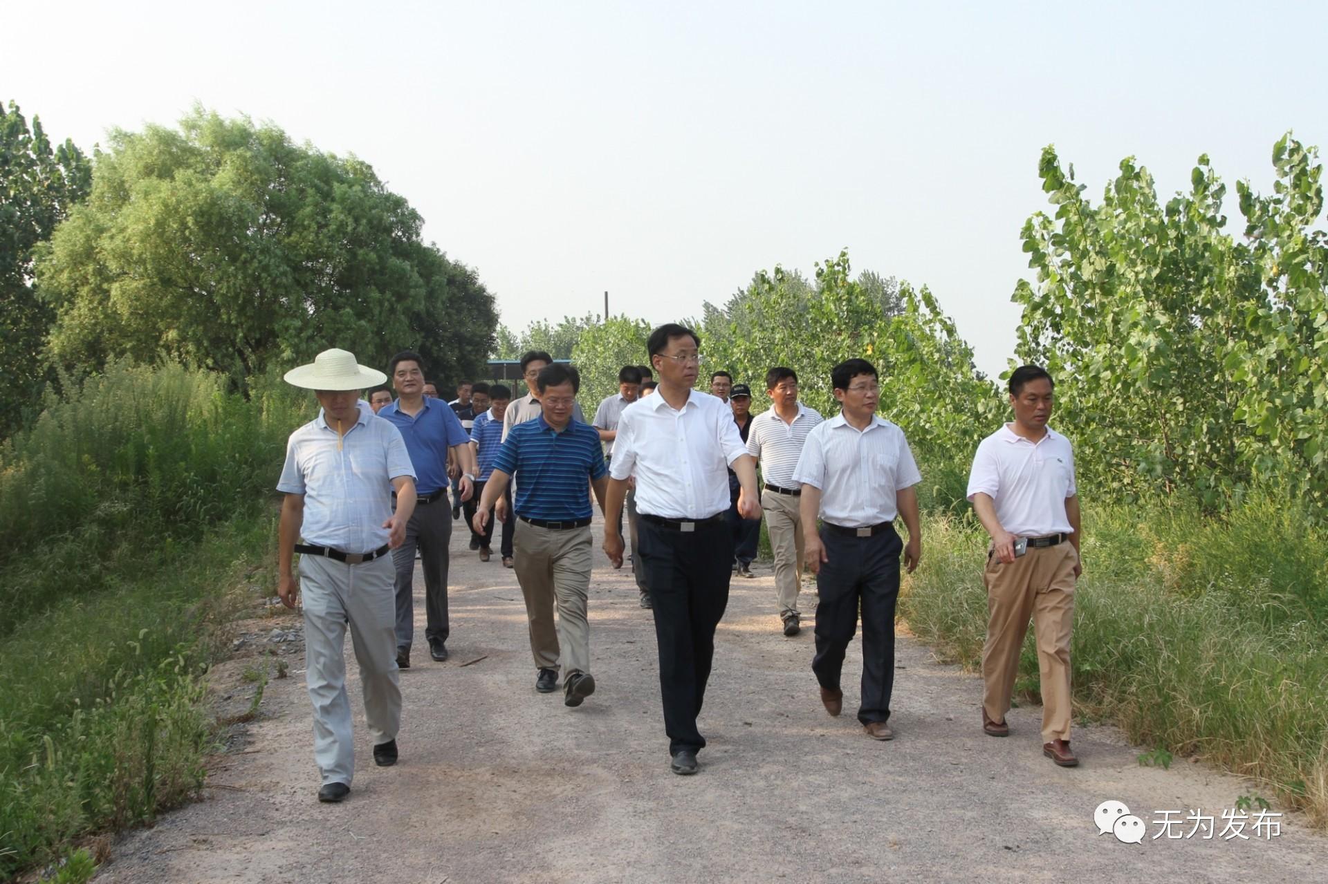 安徽无为长江最新动态,持续监测与积极应对