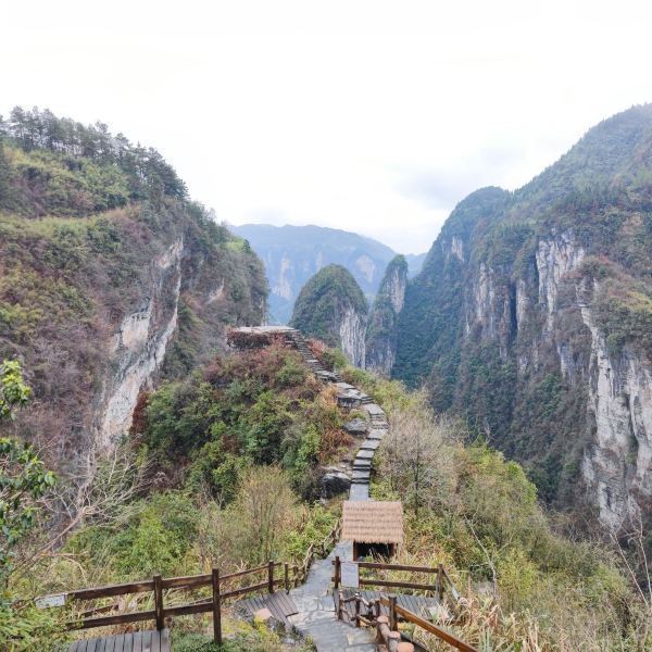 矮寨奇观旅游区全新探访攻略指南