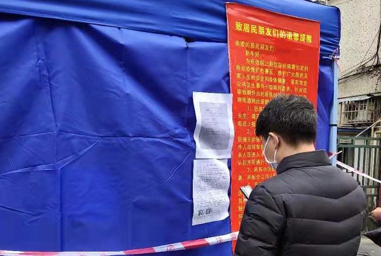 全球疫情实时更新,全球抗疫进展及应对策略追踪