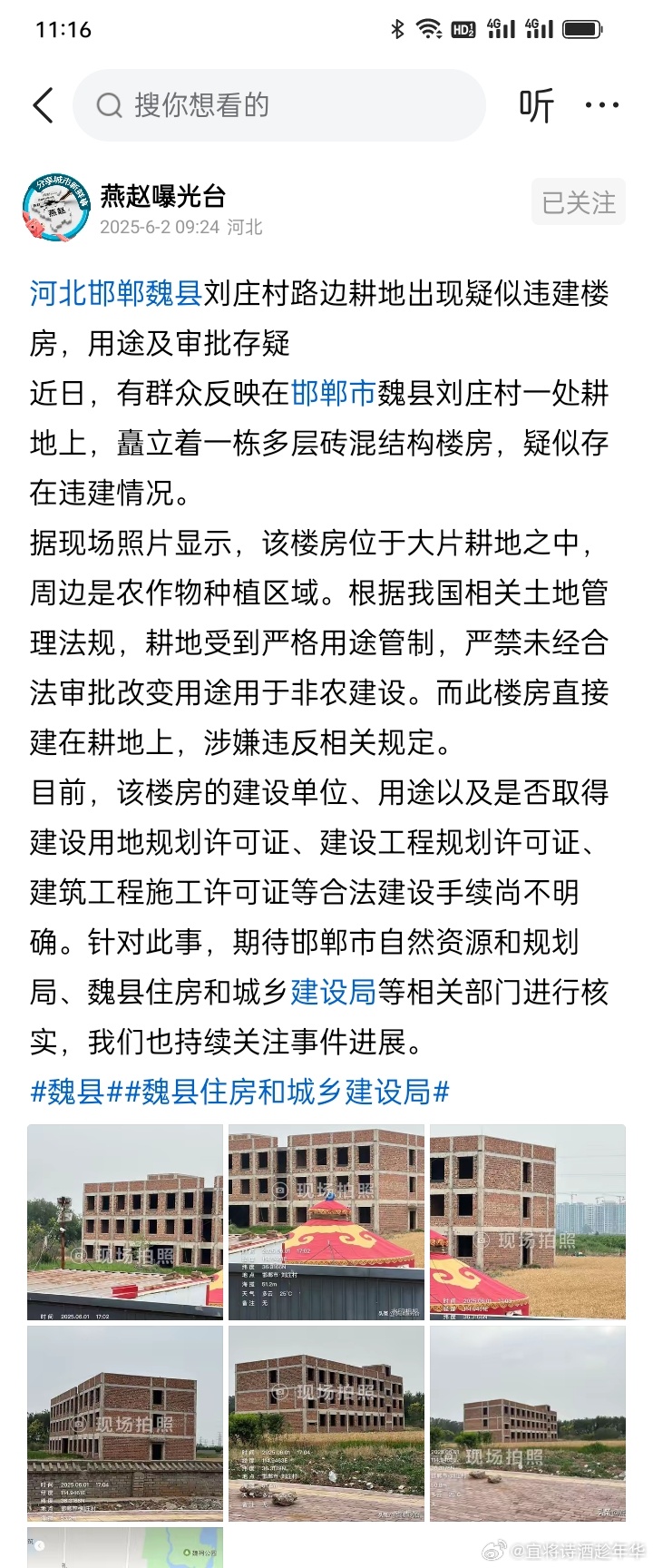 河北魏县最新消息全面解读与分析