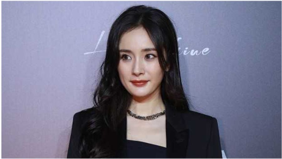 杨幂与赵薇联手打造璀璨影视明珠,探索影视界的辉煌之作
