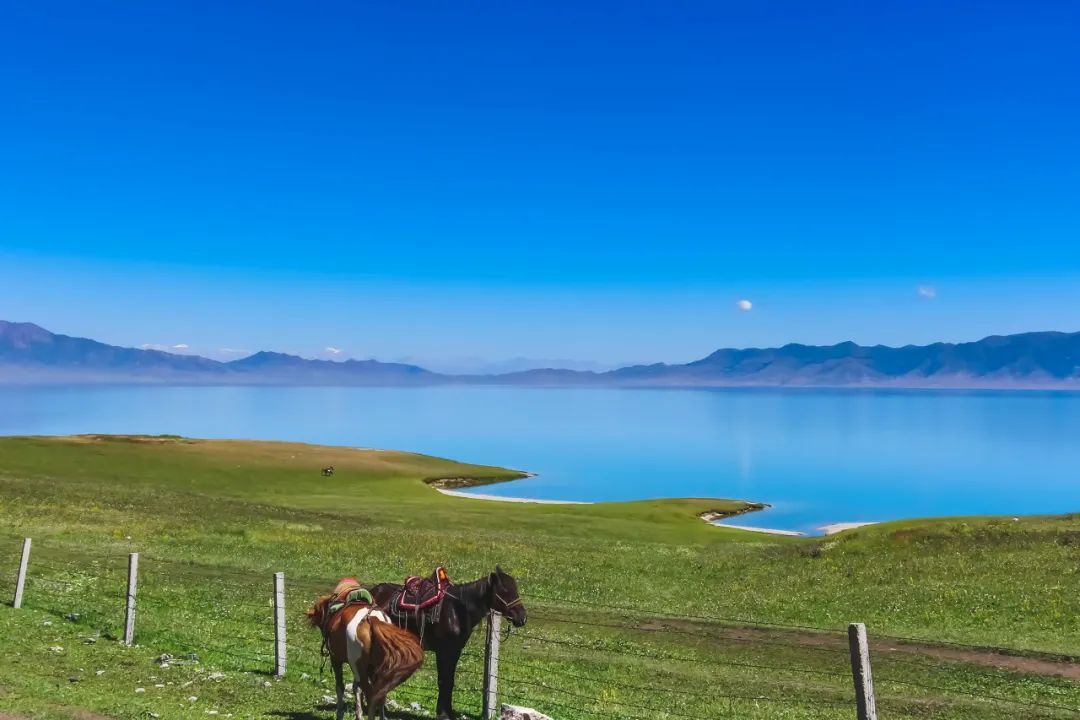新疆旅游最新动态,探索无限魅力与惊喜