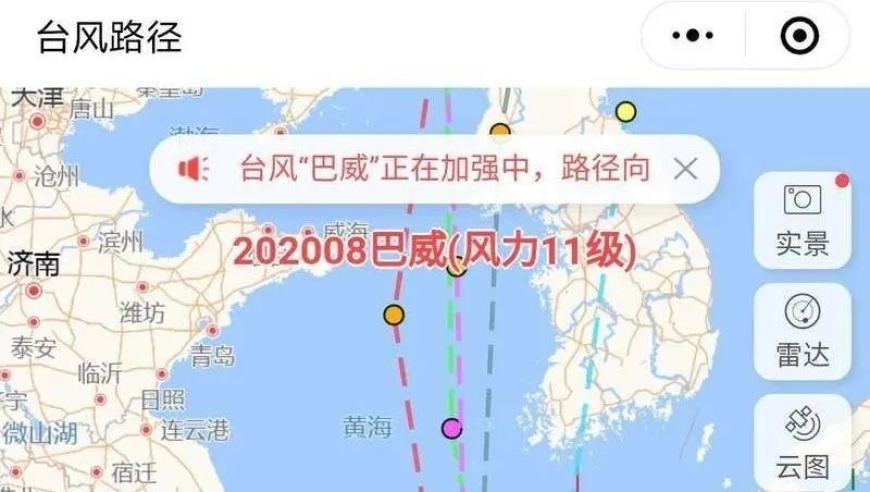 台风巴威最新路径动态分析报告