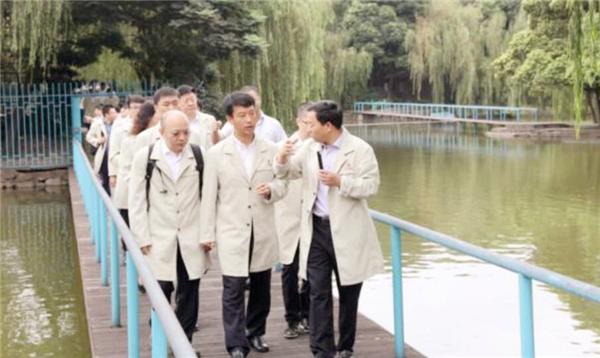 辽宁铁矿新进展,双轮驱动产业升级与绿色发展之路