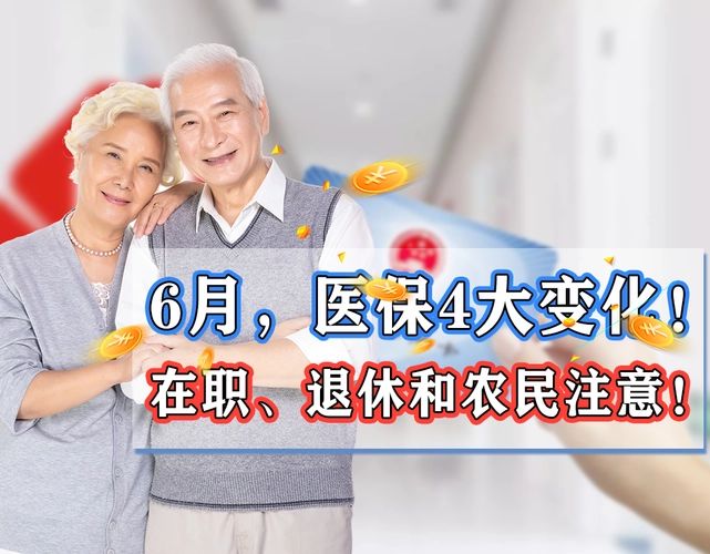 医保药改革最新动态,深度解析影响及应对之策