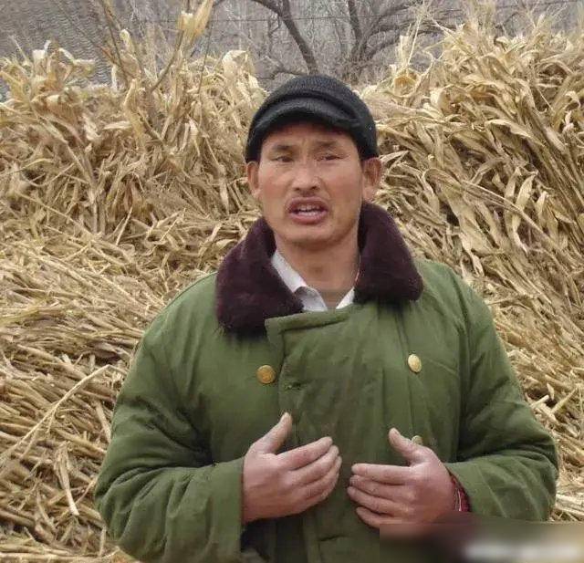 朱之文大衣哥揭秘,背后故事与热议事件曝光