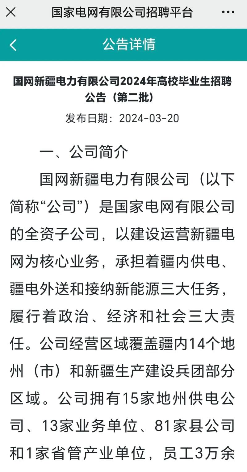 国网新疆推动能源转型,助力地区繁荣发展新动态
