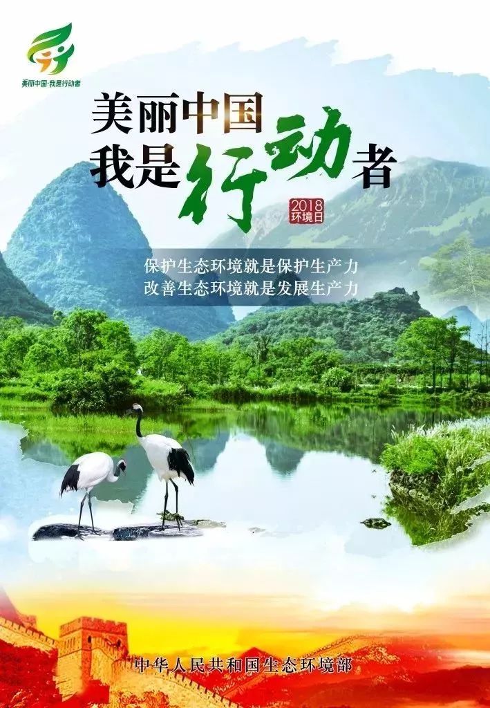 我国生态环境最新动态,共建绿色家园,持续努力前行